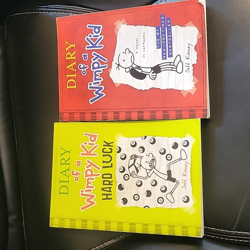 Set of 2 Diary of a Wimpy Kid books